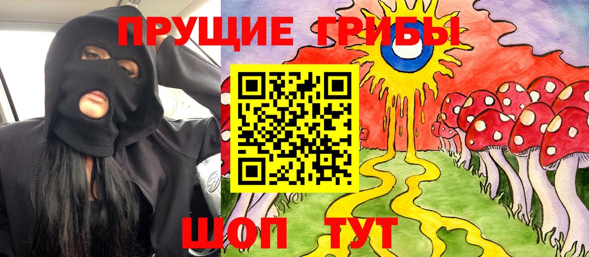 Псилоцибиновые грибы Cubensis  Вход с VPN  Реж 