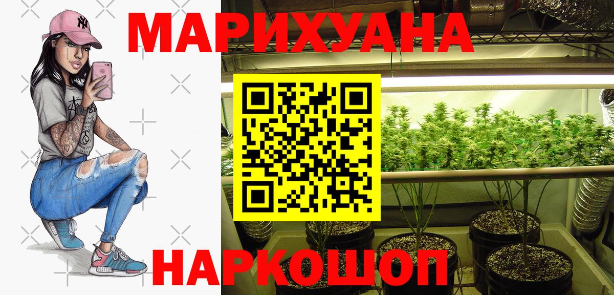 Шишки марихуана сатива Реж